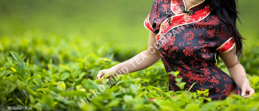 Best Quality Tea